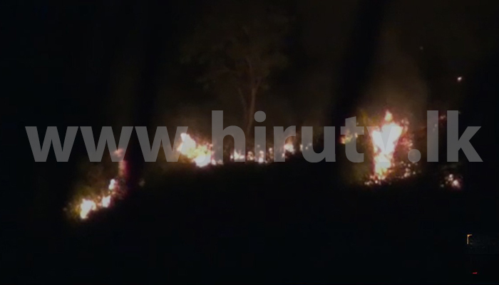 Hiru Tv Blog
