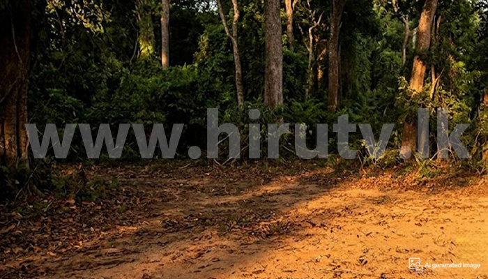 Hiru Tv Blog