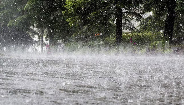 Hiru Tv Blog